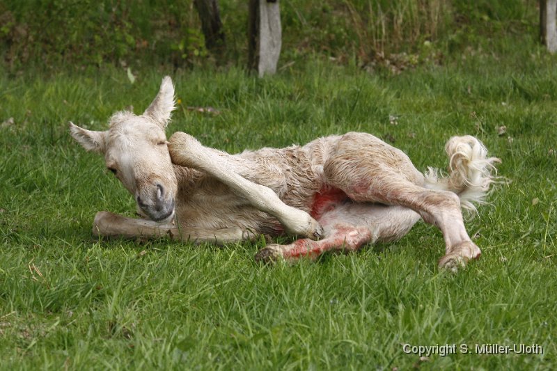 Hjoerdis 44 Min alt (3).JPG